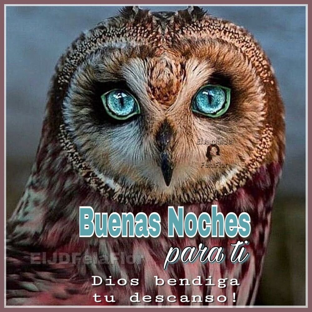 Buenas Noches nuevas imágenes 15
