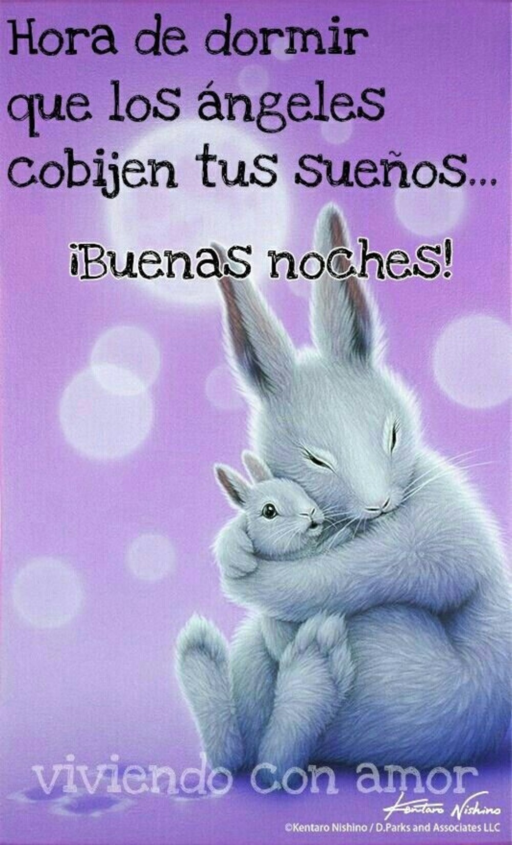 Buenas Noches nuevas imágenes 2