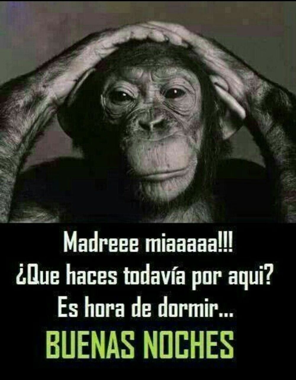 Buenas Noches tarjetas divertidas (2)