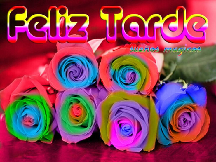 Buenas Tardes 6