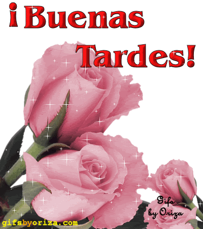 Buenas Tardes GIF (1)