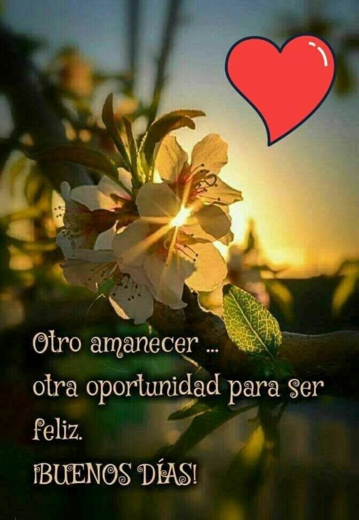 Buenos Días 1