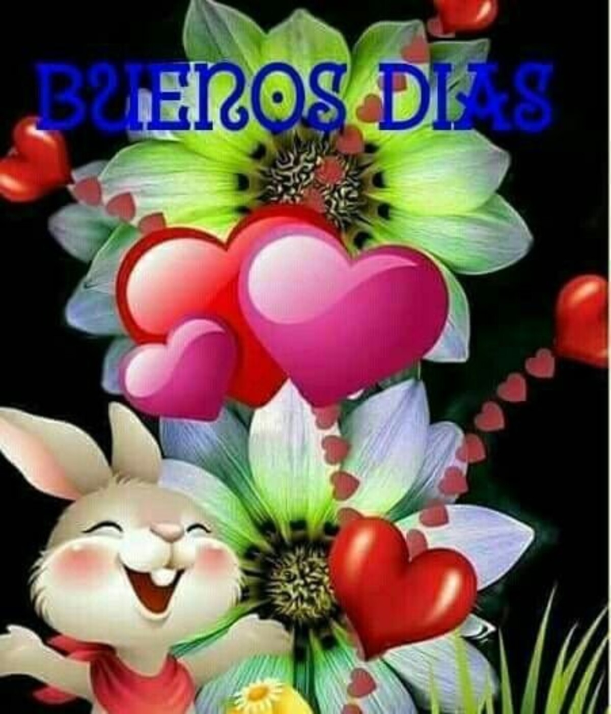 Buenos Días 12