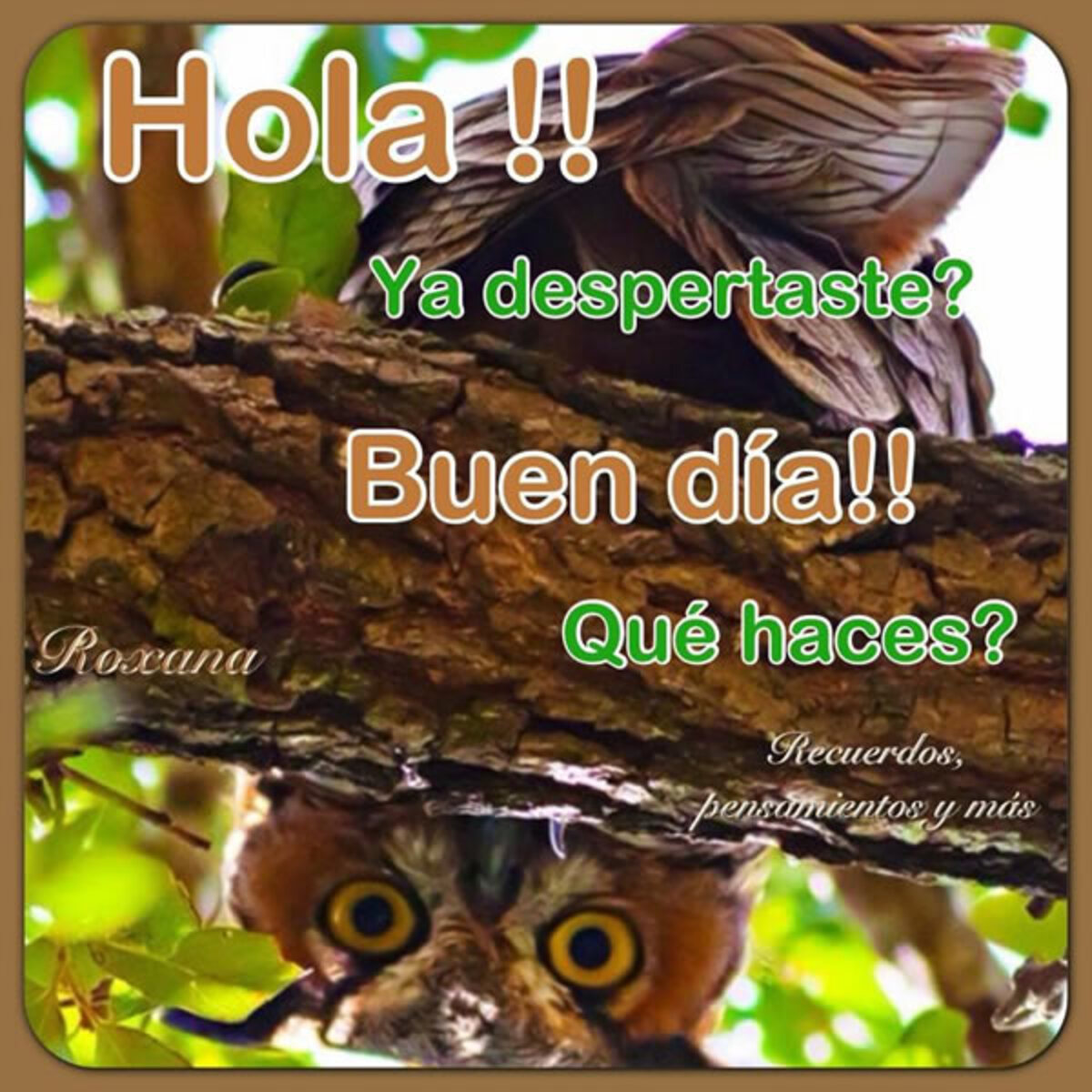 Buenos Días 13