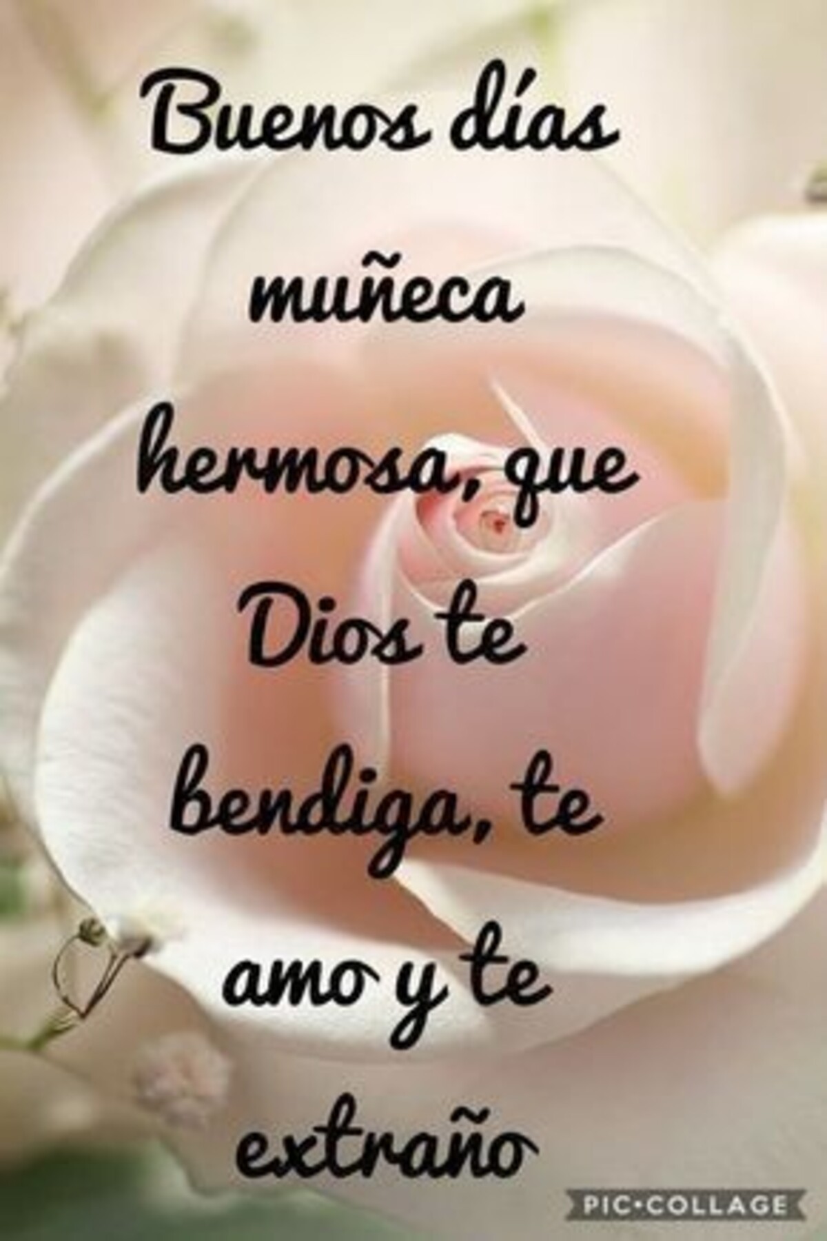 Buenos Días 8
