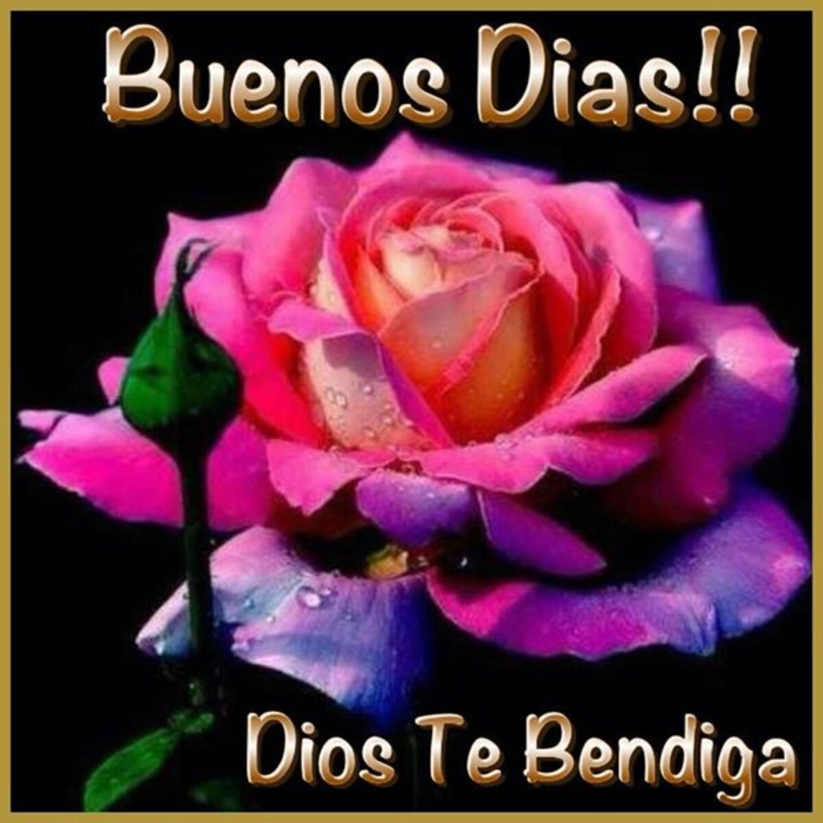 Buenos Días Dios te bendiga