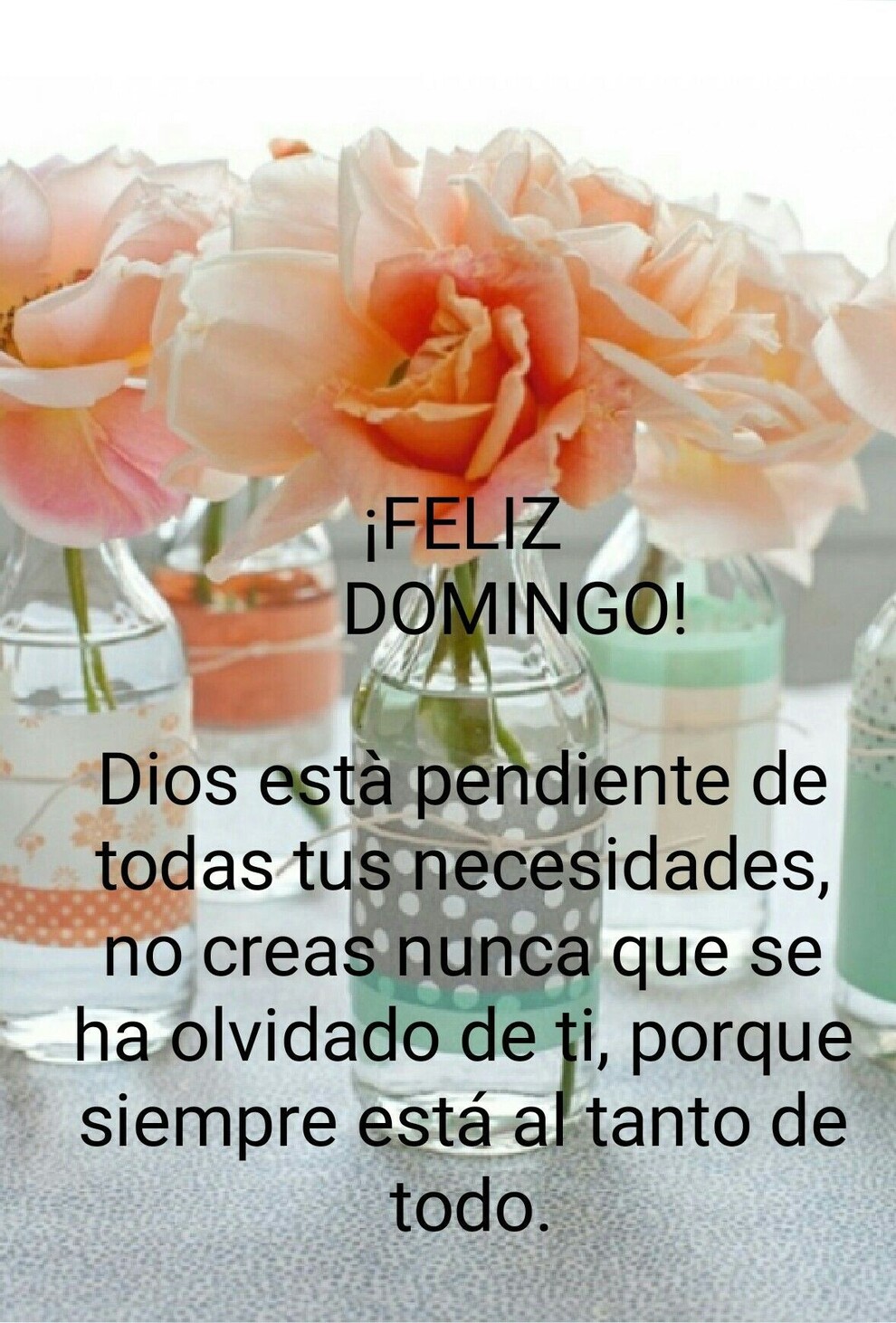 Buenos Días Feliz Domingo 10