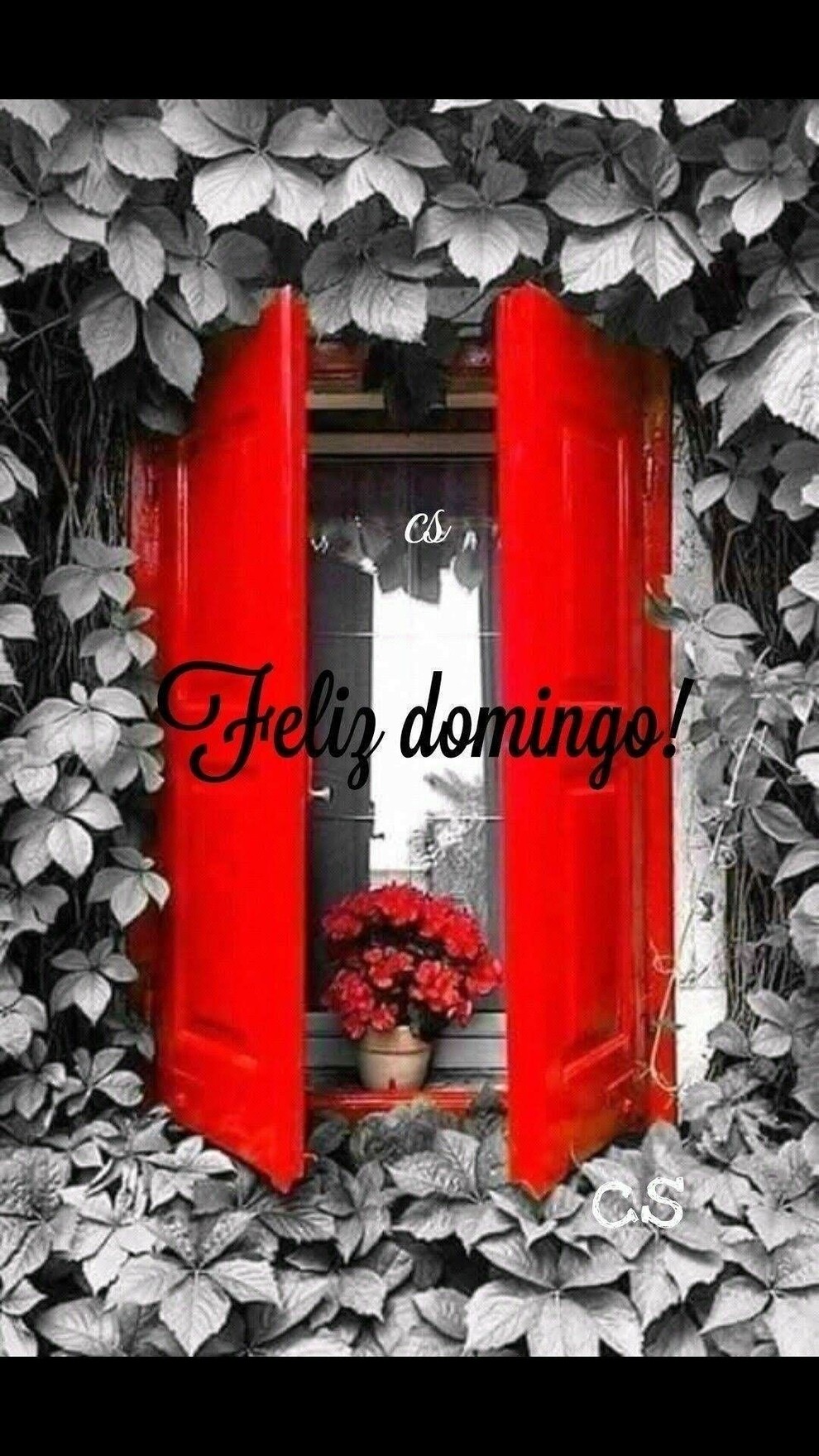 Buenos Días Feliz Domingo 5