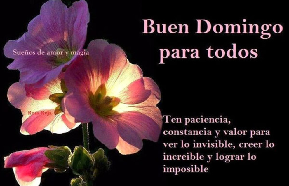 Buenos Días Feliz Domingo amigos 11