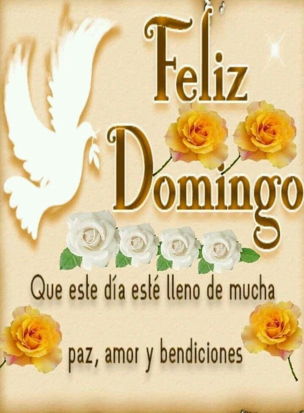 Buenos Días Feliz Domingo amigos 12