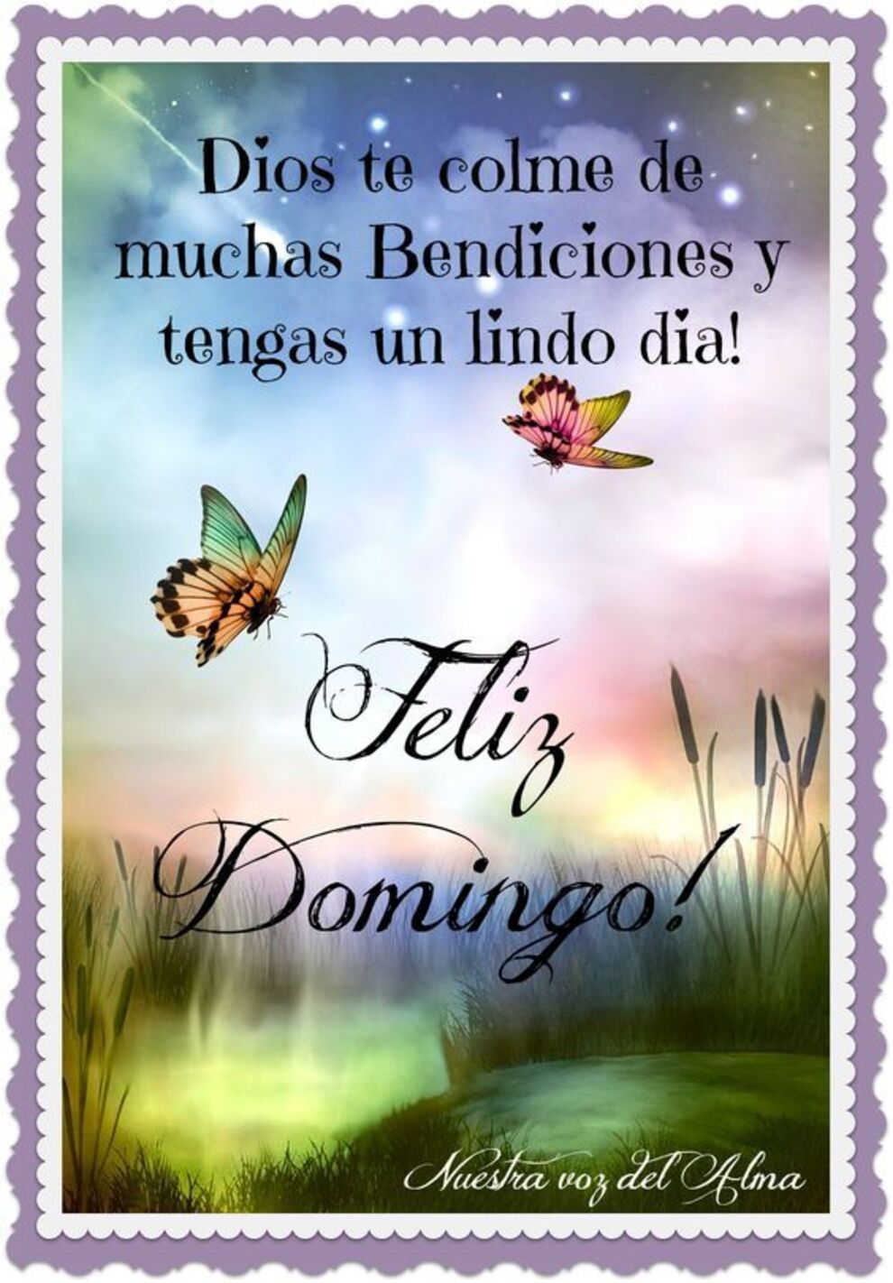 Buenos Días Feliz Domingo amigos 2