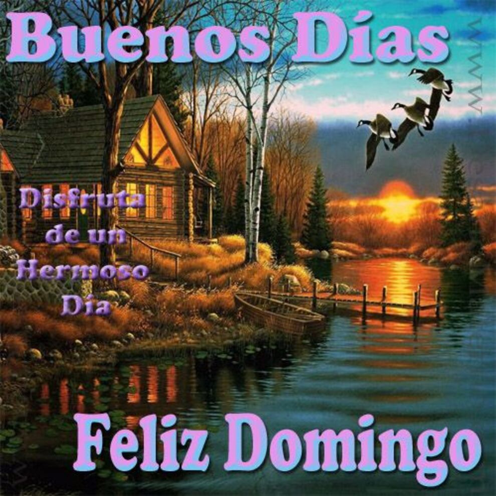 Buenos Días Feliz Domingo amigos 4