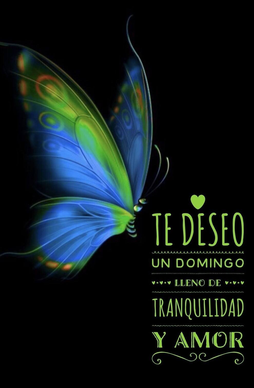 Buenos Días Feliz Domingo amigos 9