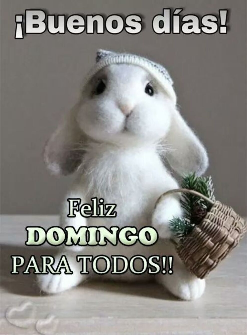 Buenos Días Feliz Domingo para todos