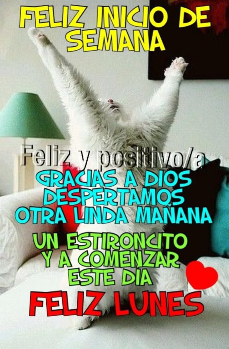 Buenos Días Feliz Lunes imágenes divertidas (4)