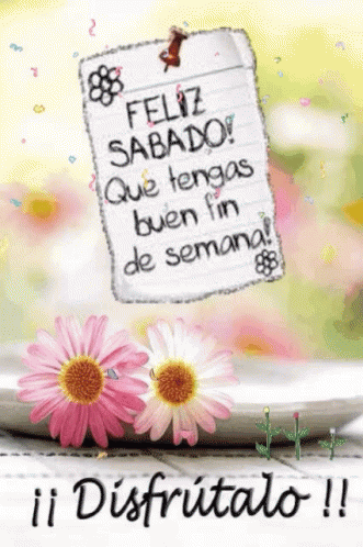 Buenos Días Feliz Sábado GIF (2)