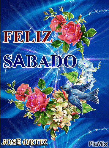 Buenos Días Feliz Sábado GIF (6)