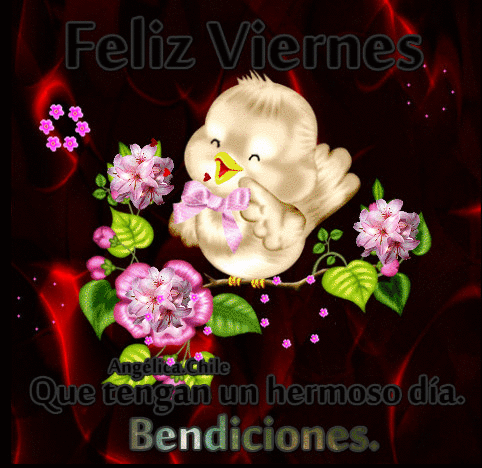 Buenos Días Feliz Viernes GIF (4)