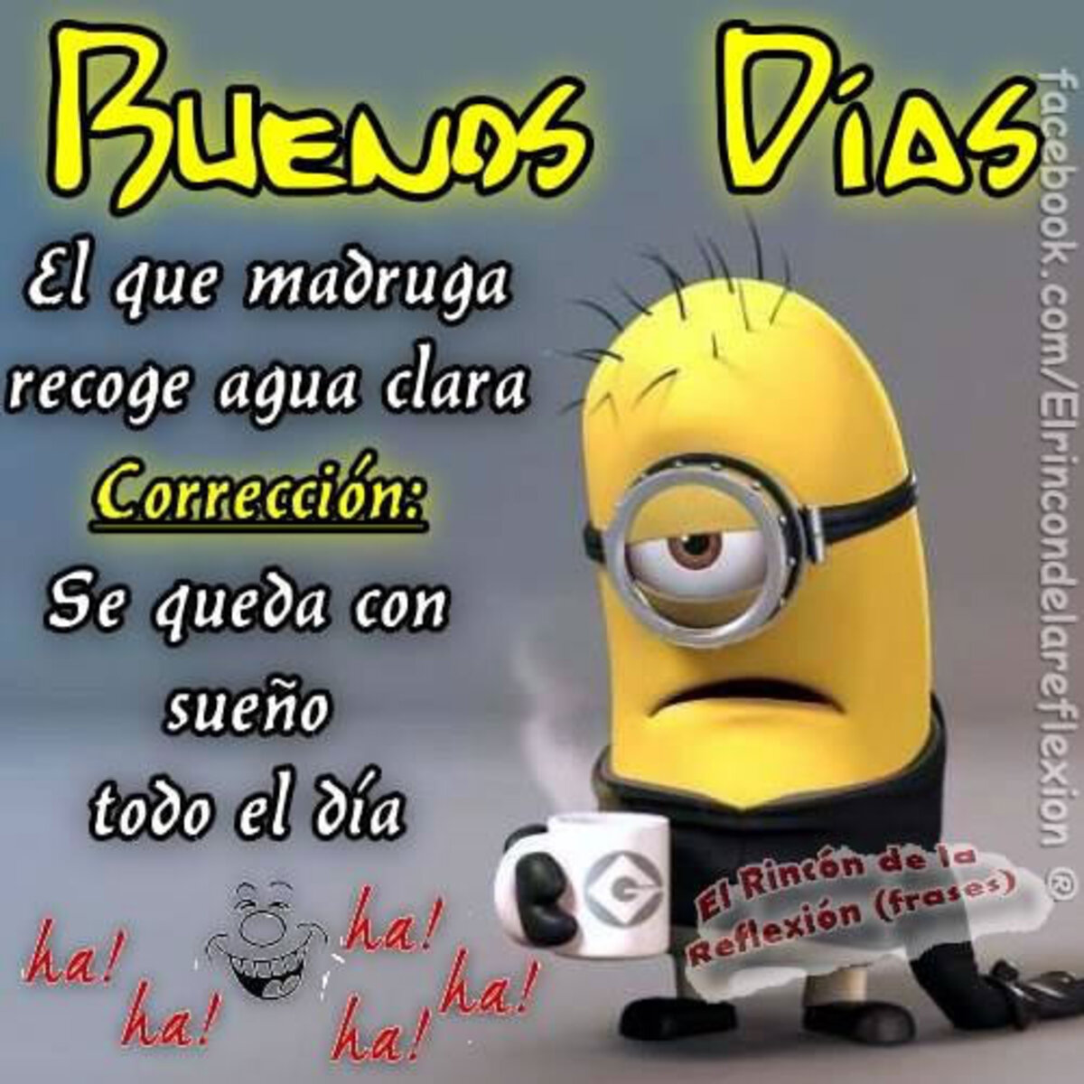Buenos Días Minions (3)
