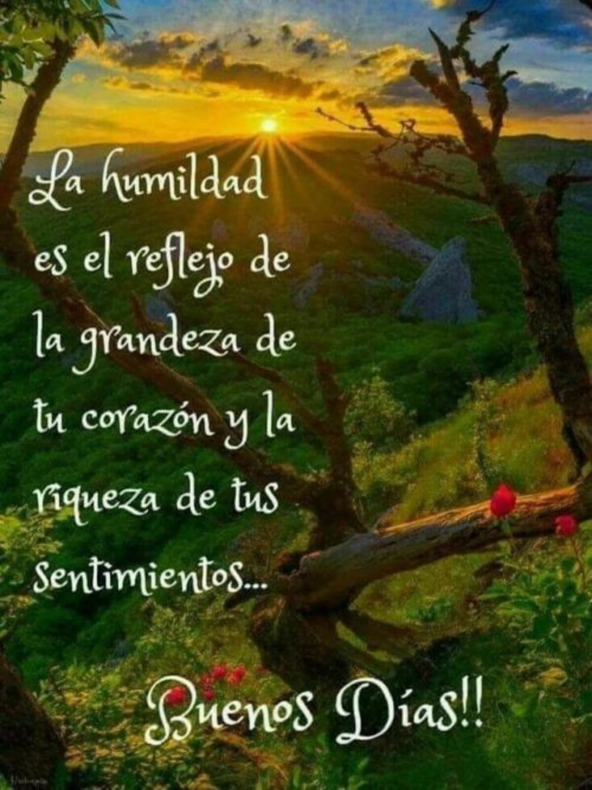 Buenos Días Pinterest 1
