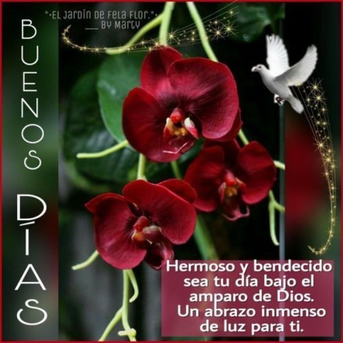 Buenos Días Pinterest 4