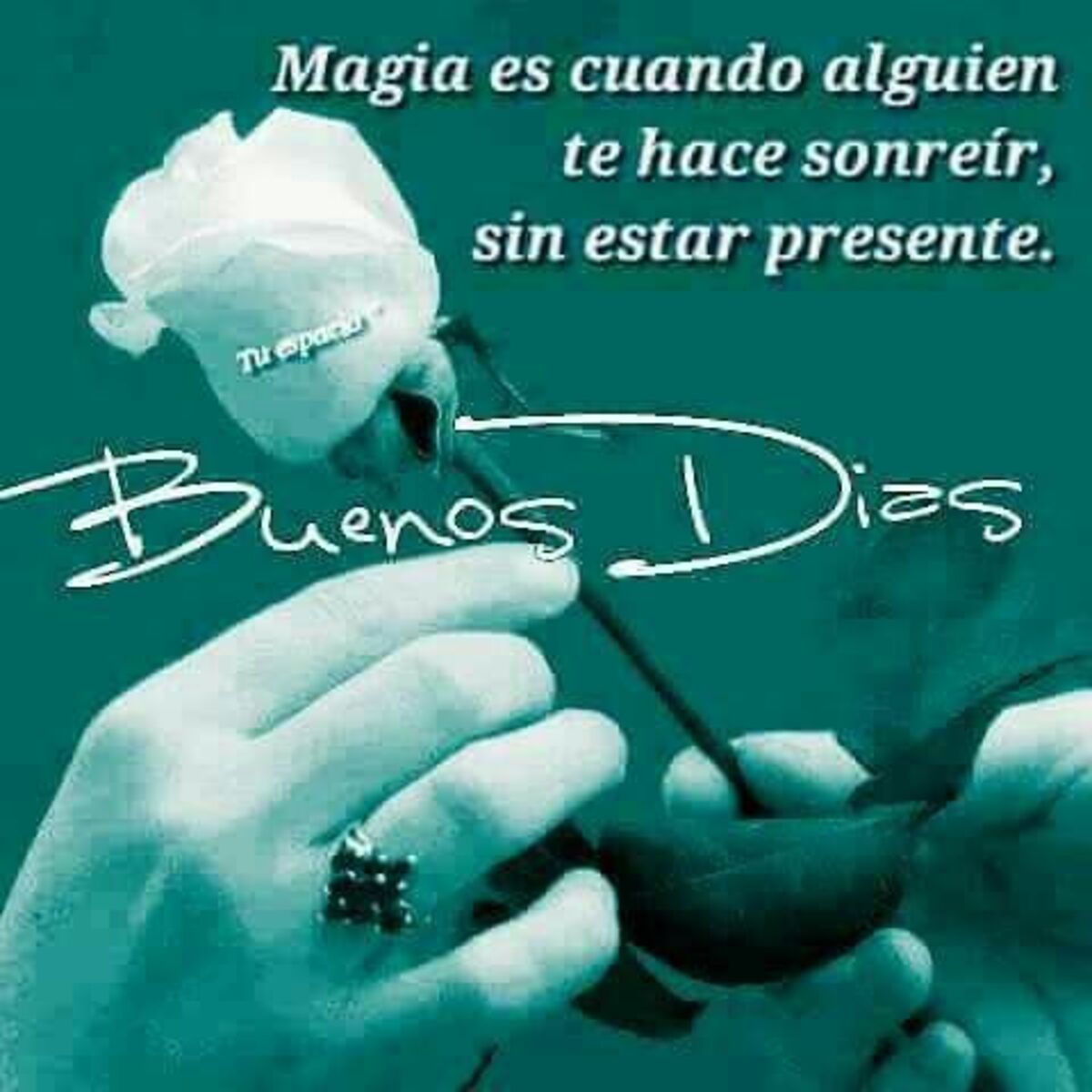Buenos Días WhatsApp 1