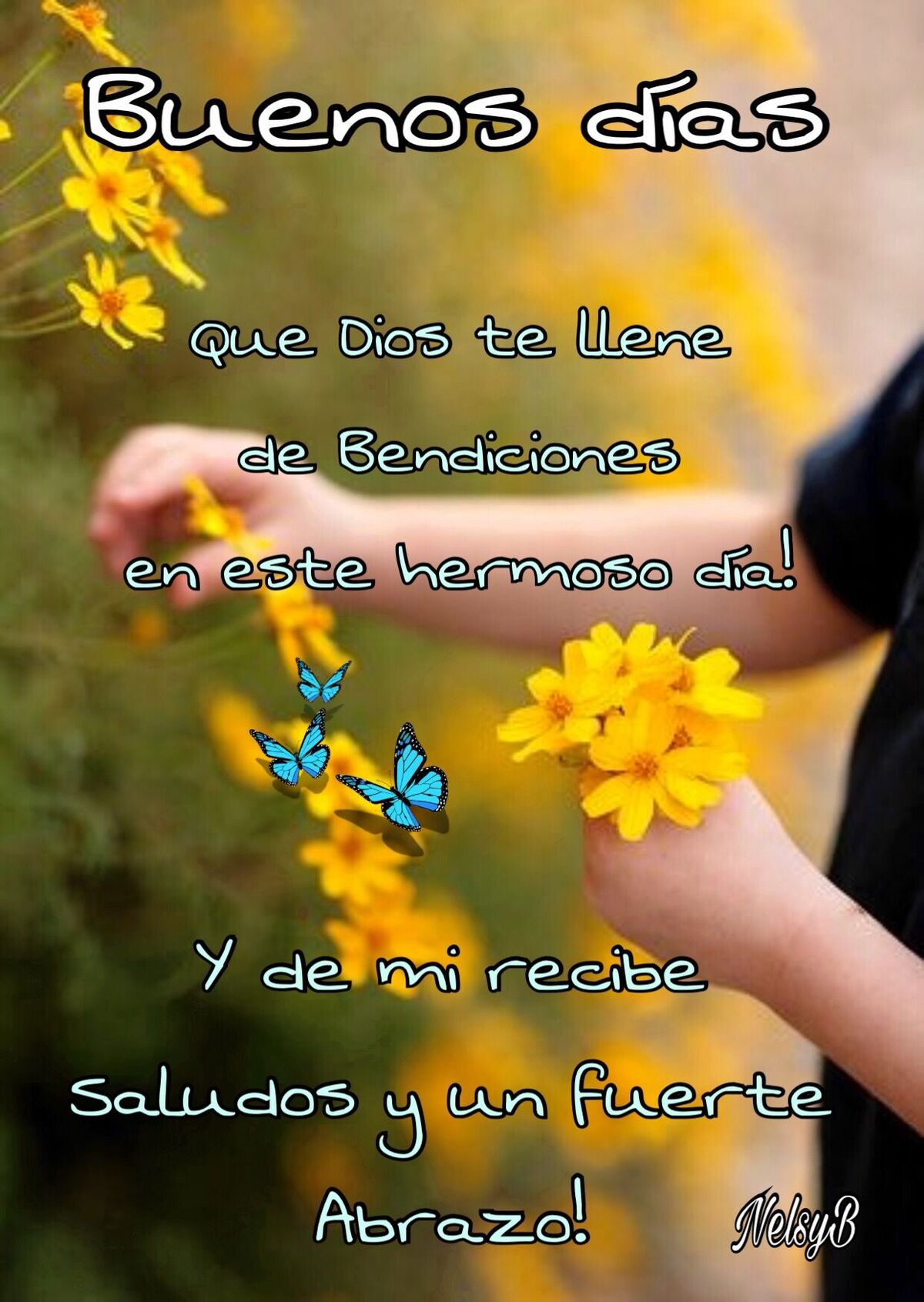 Buenos Días WhatsApp 2