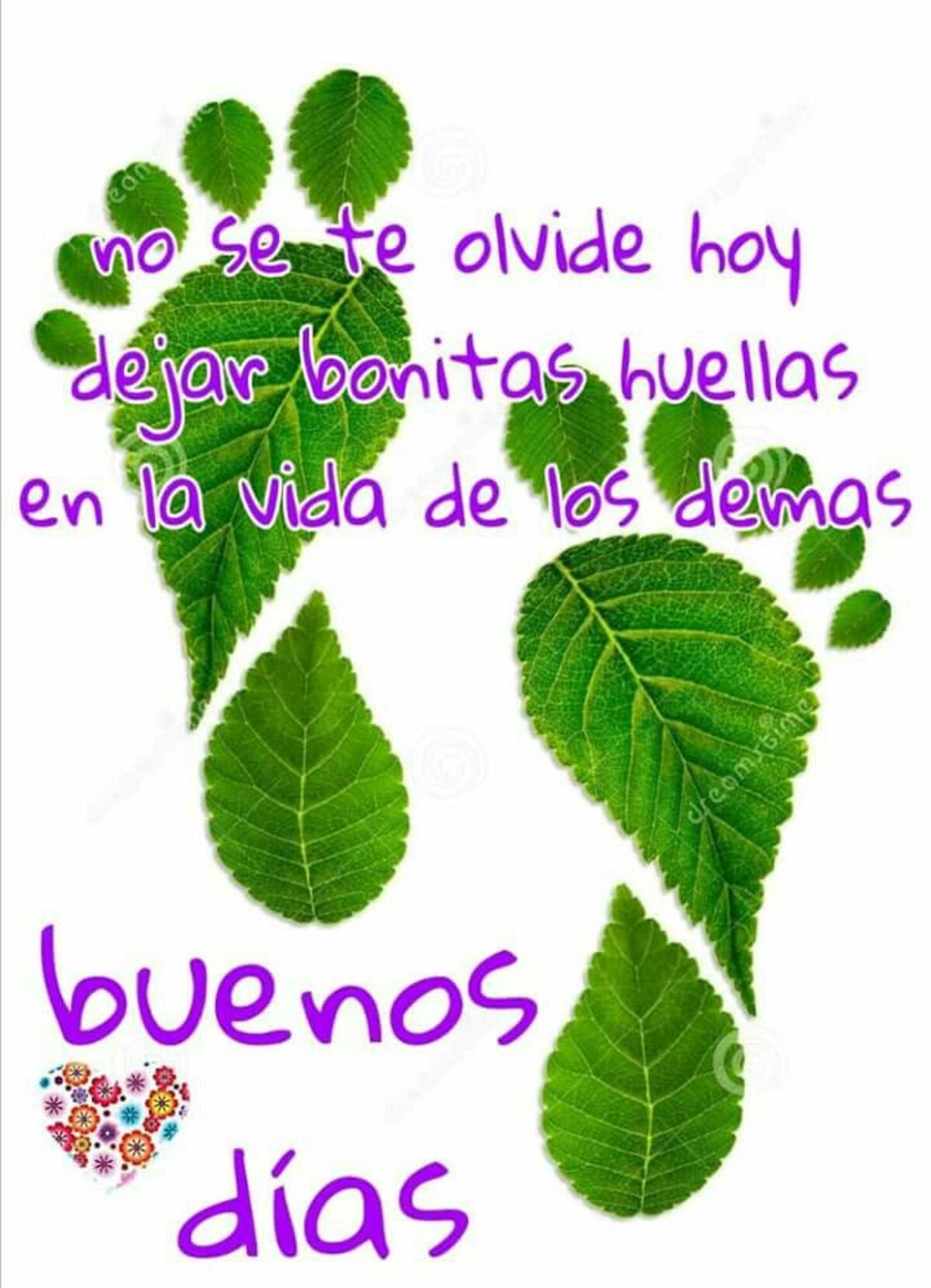 Buenos Días WhatsApp 6