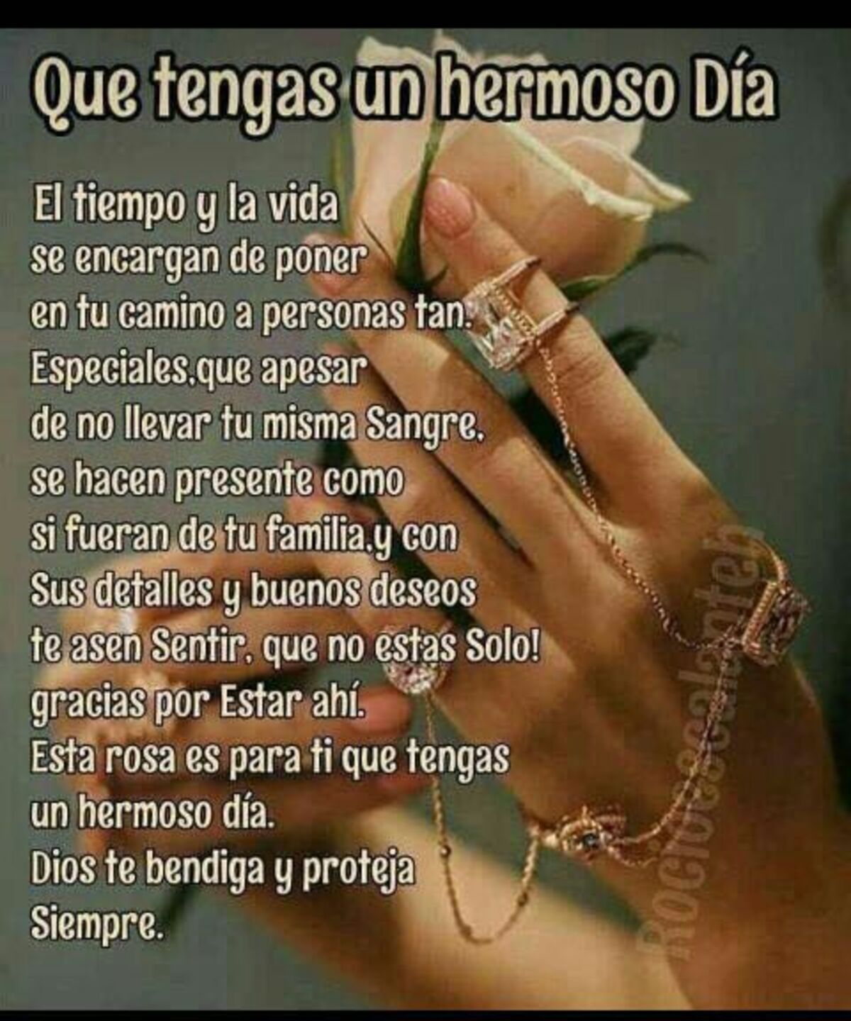 Buenos Días WhatsApp 8