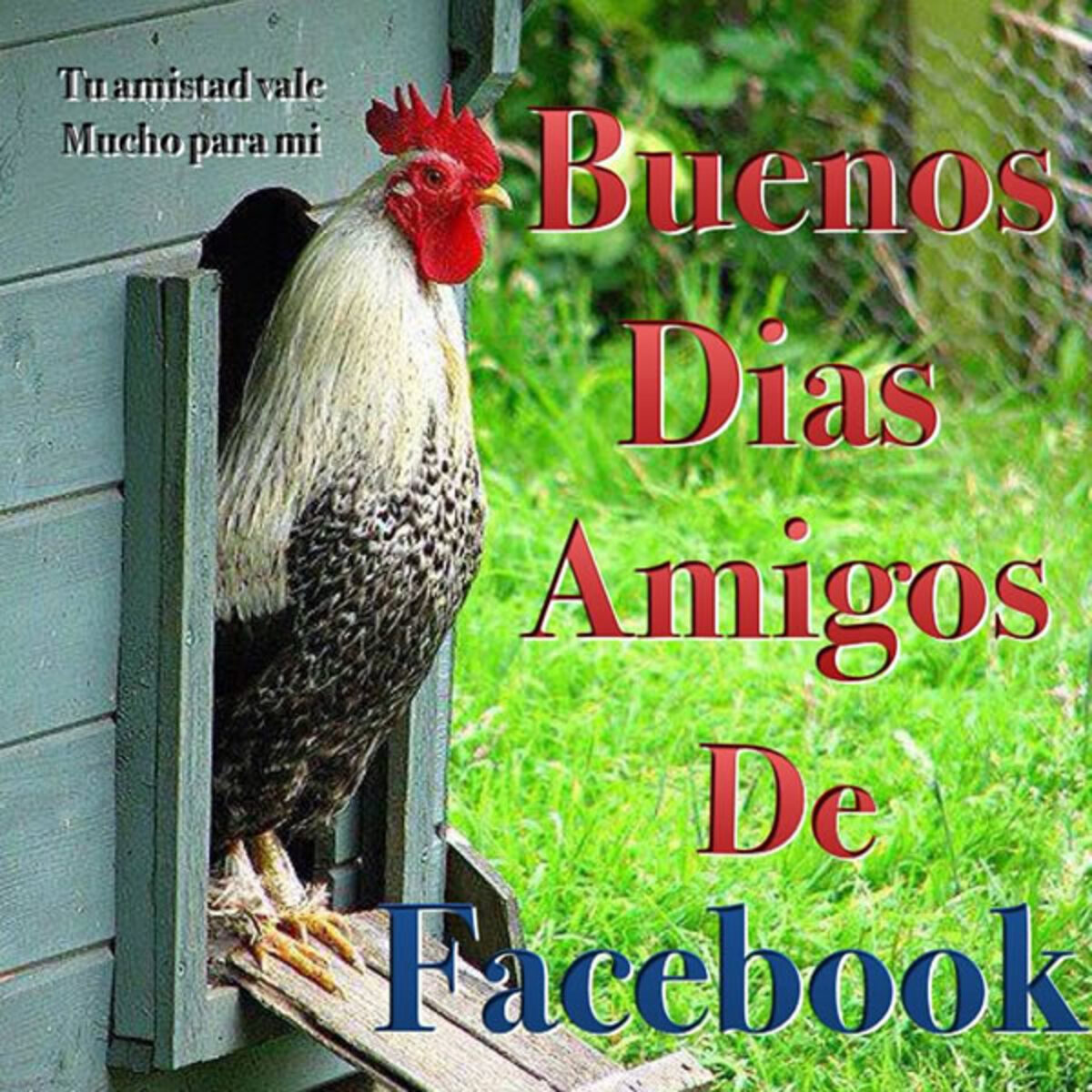 Buenos Días a todos 14