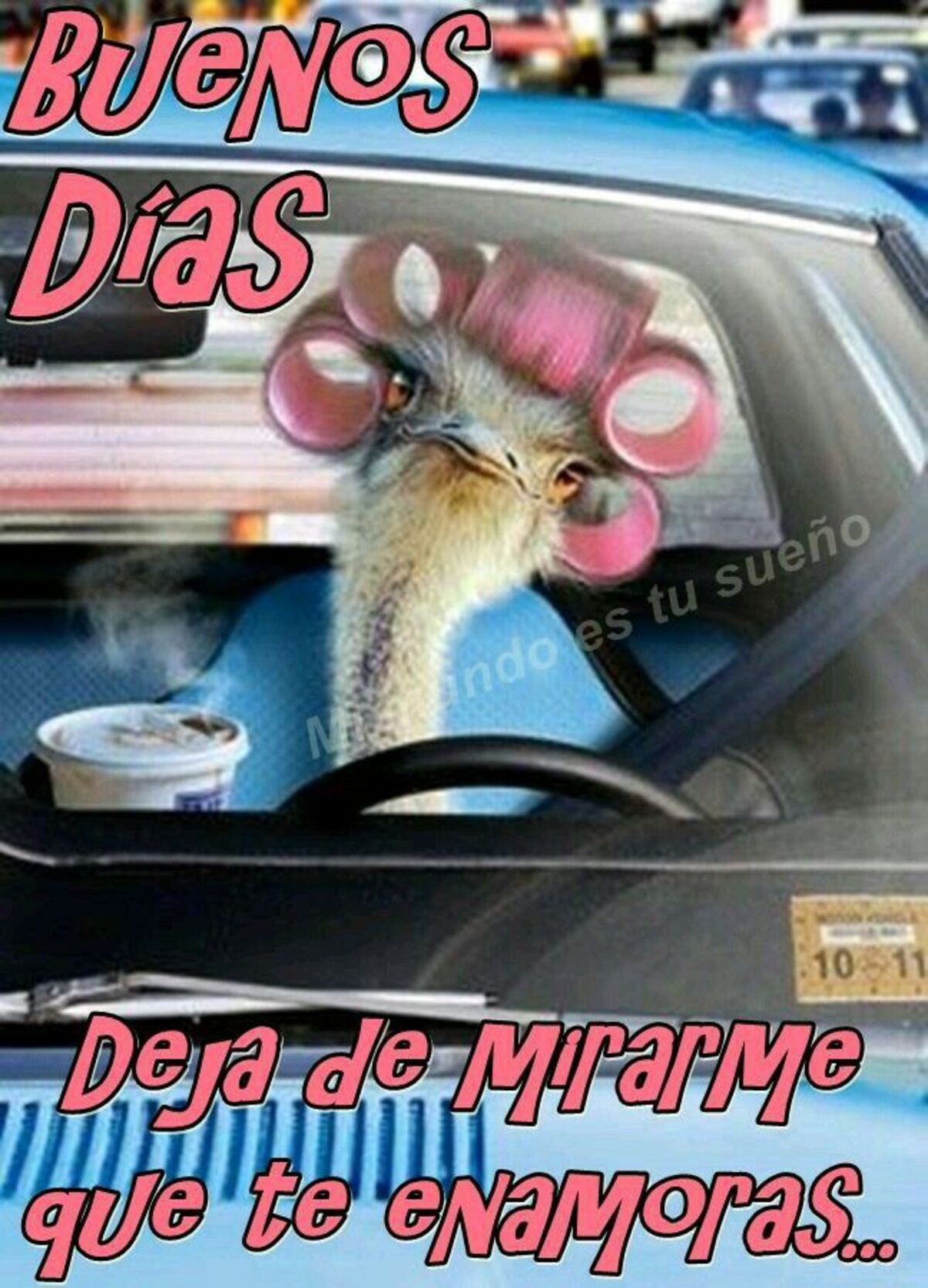 Buenos Días a todos mis amigos 5