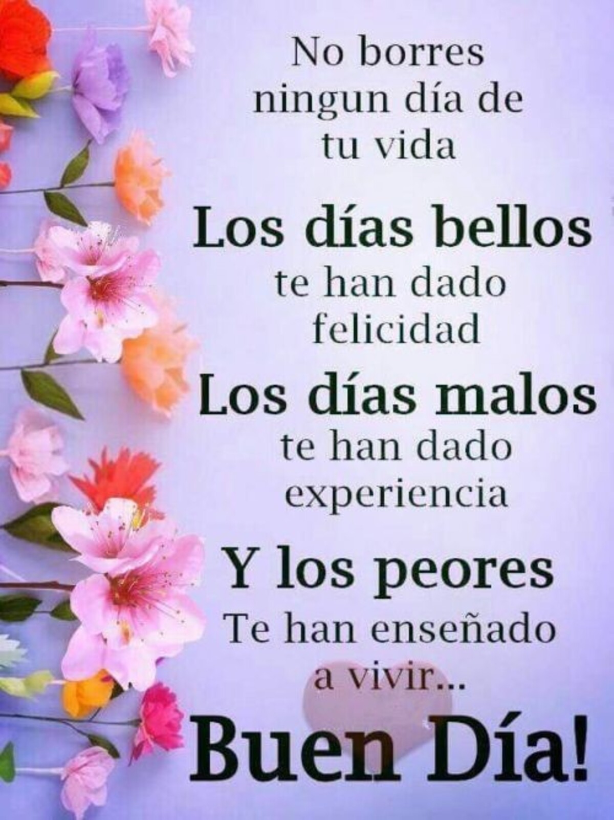 Buenos Días amiguitos 10