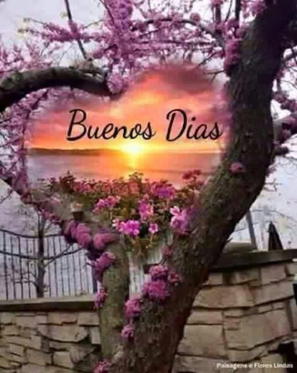 Buenos Días amiguitos 5