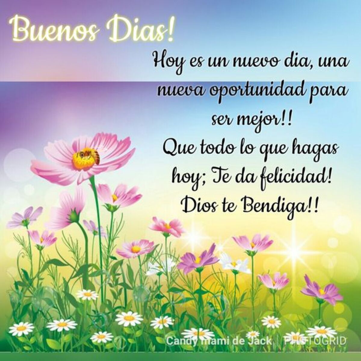 Buenos Días amiguitos 8