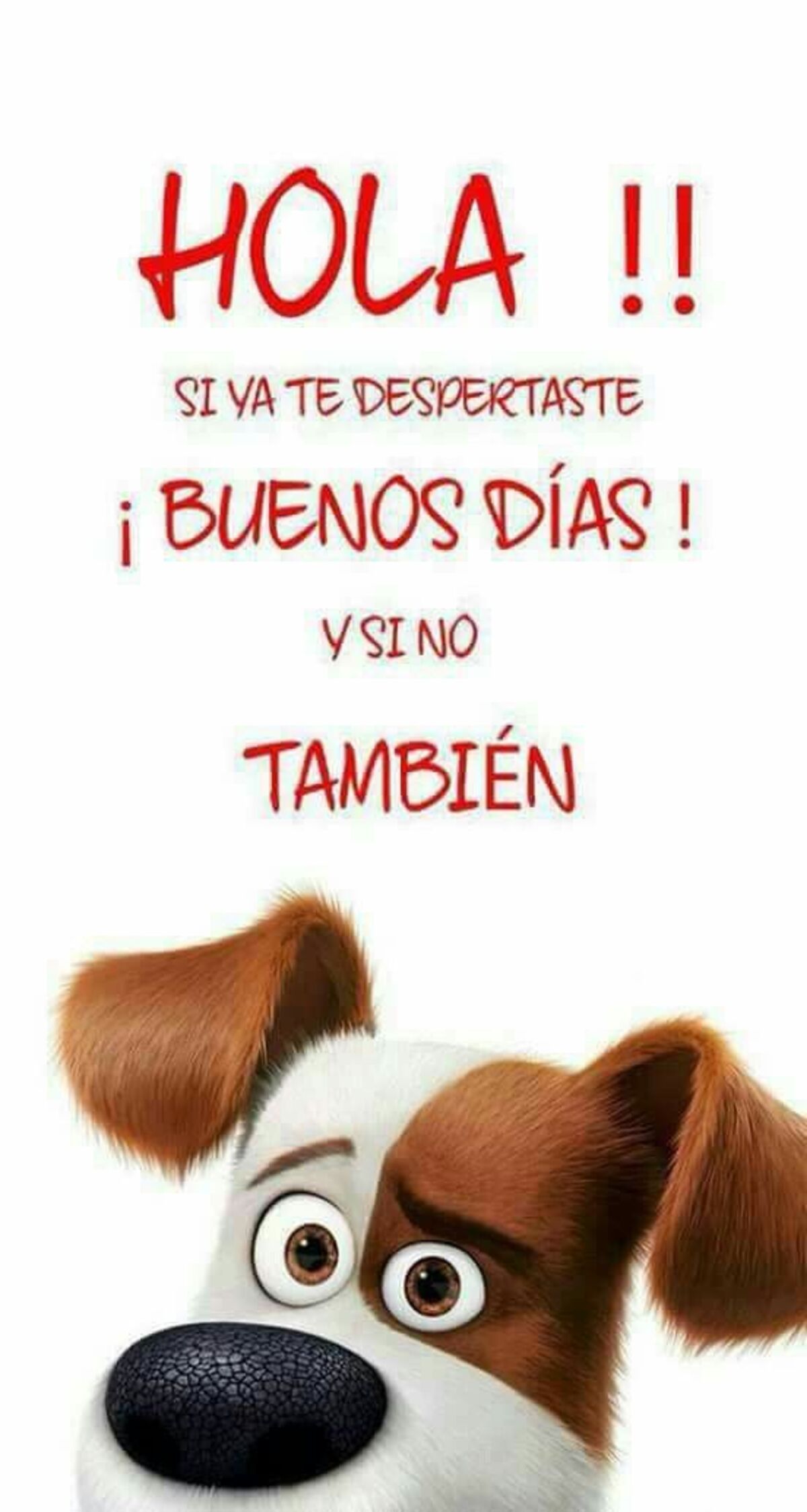 Buenos Días grupo 10