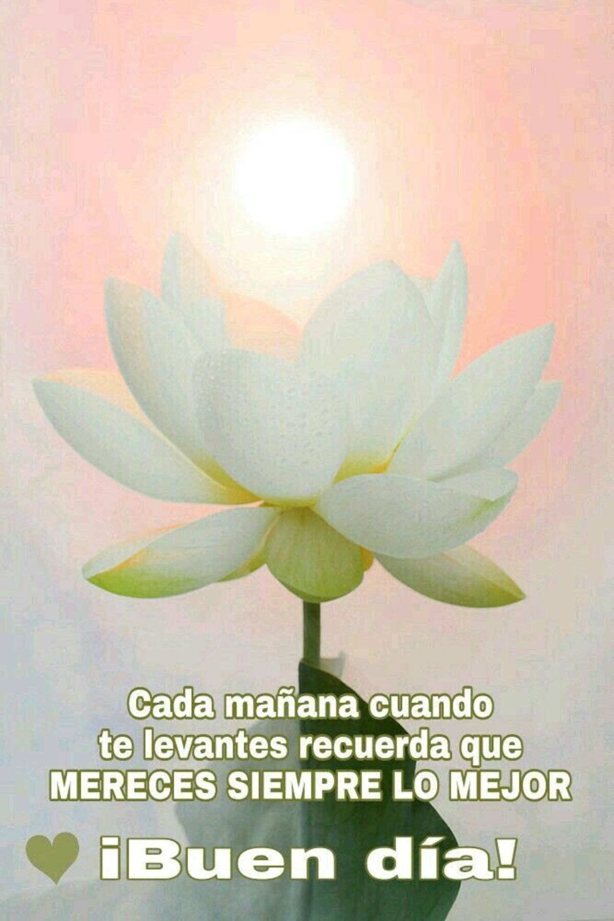 Buenos Días imágenes 11
