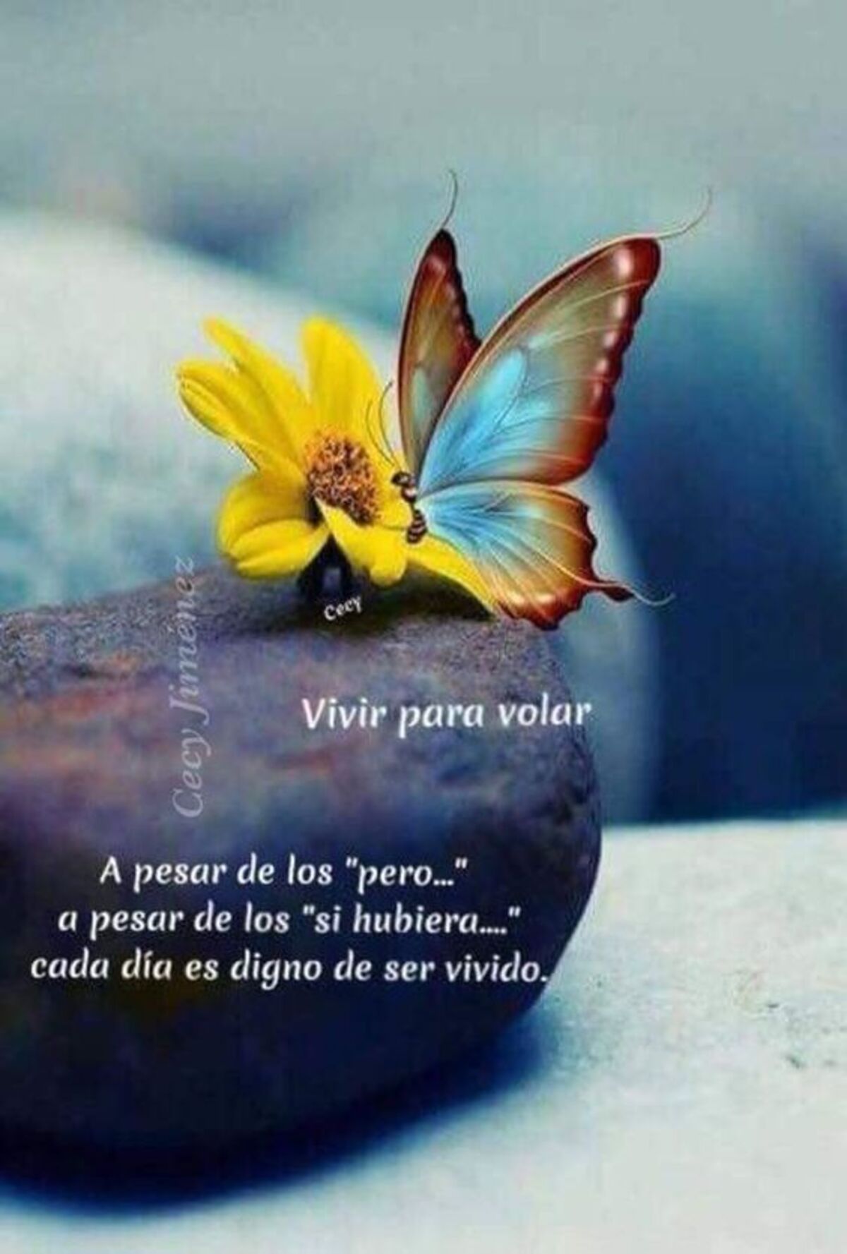 Buenos Días imágenes 3