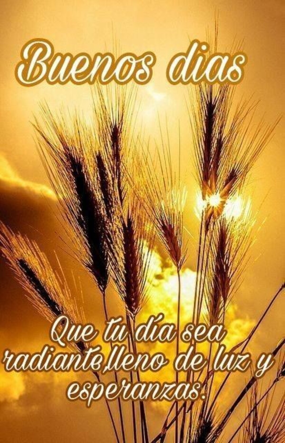 Buenos Días imágenes 7