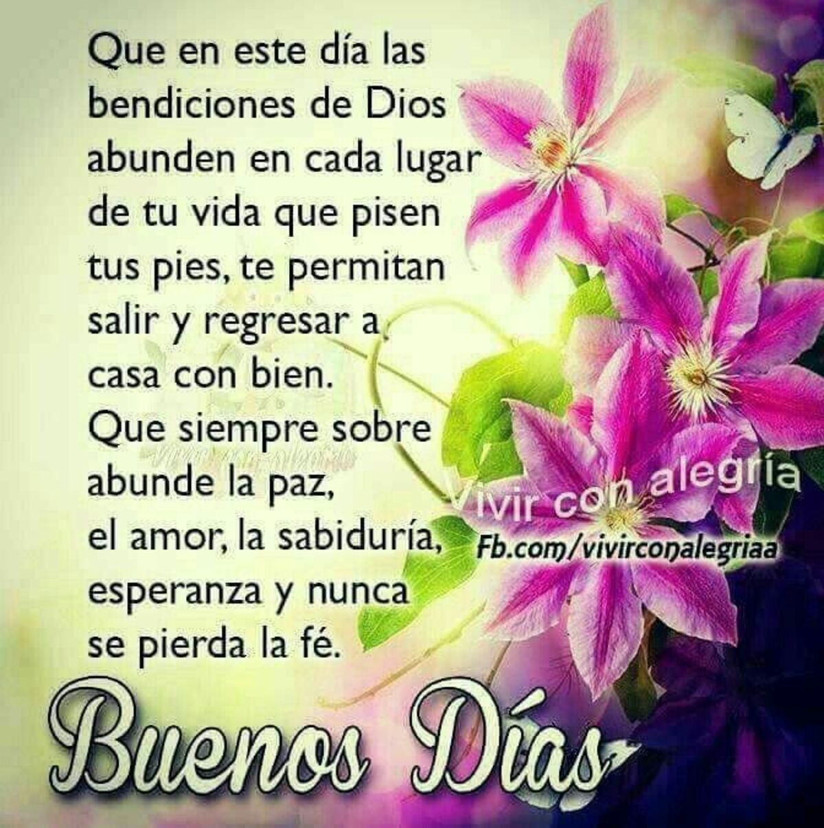 Buenos Días imágenes Pinterest 12