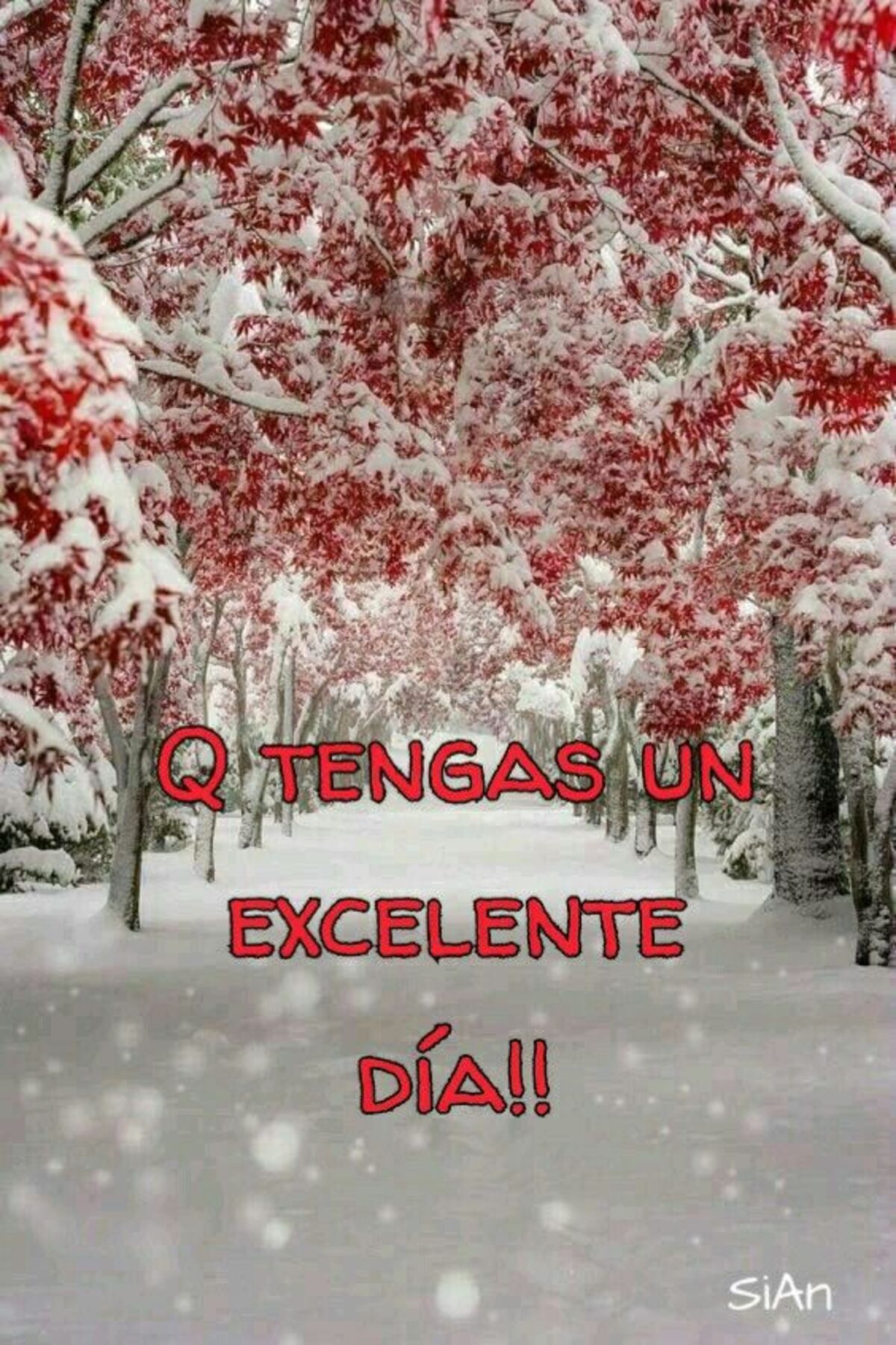 Buenos Días imágenes Pinterest 2