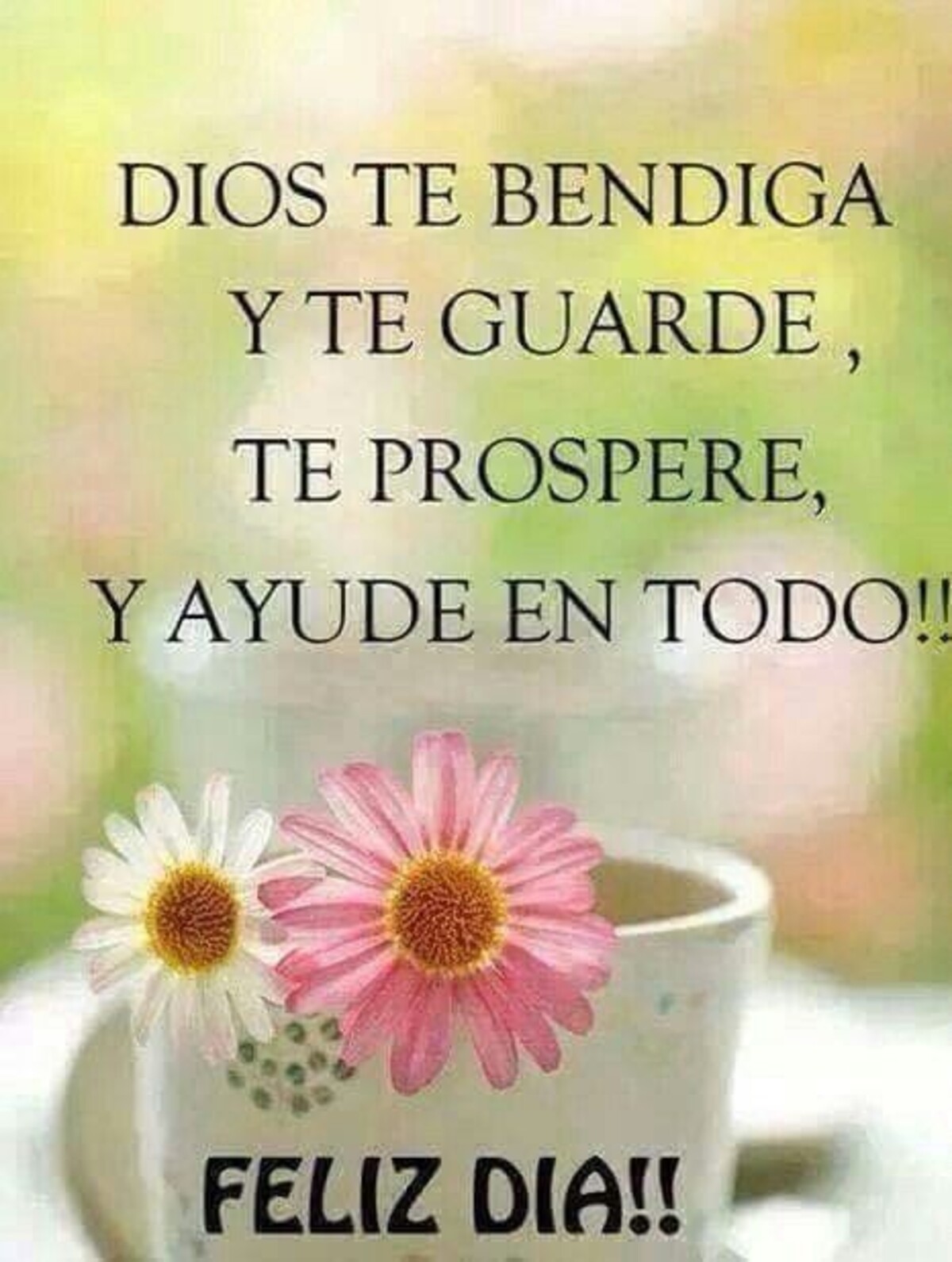 Buenos Días imágenes Pinterest 5