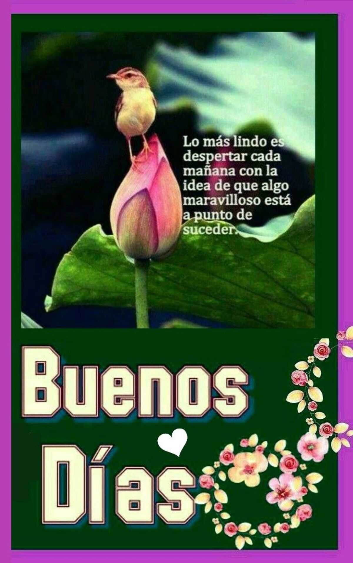 Buenos Días imágenes para Facebook 15