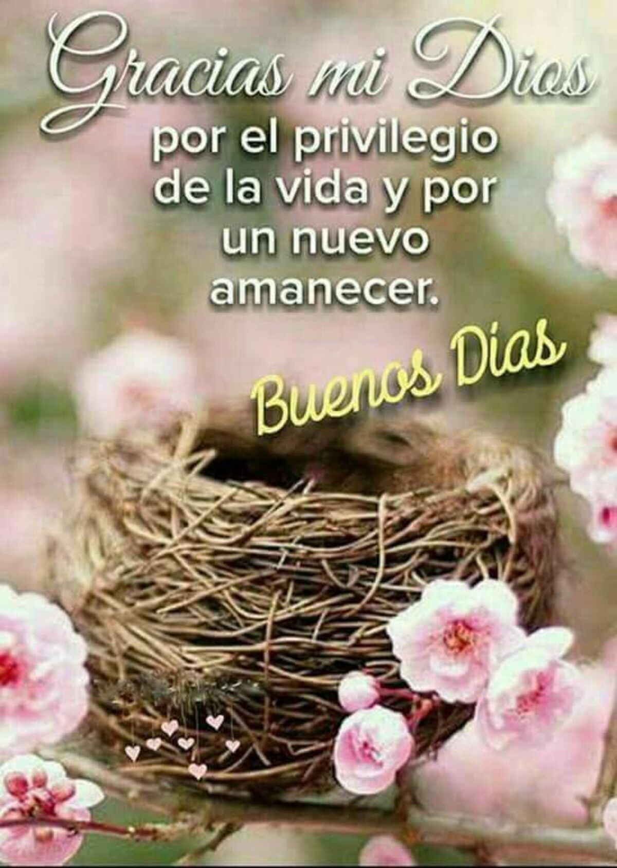 Buenos Días imágenes para WhatsApp 12
