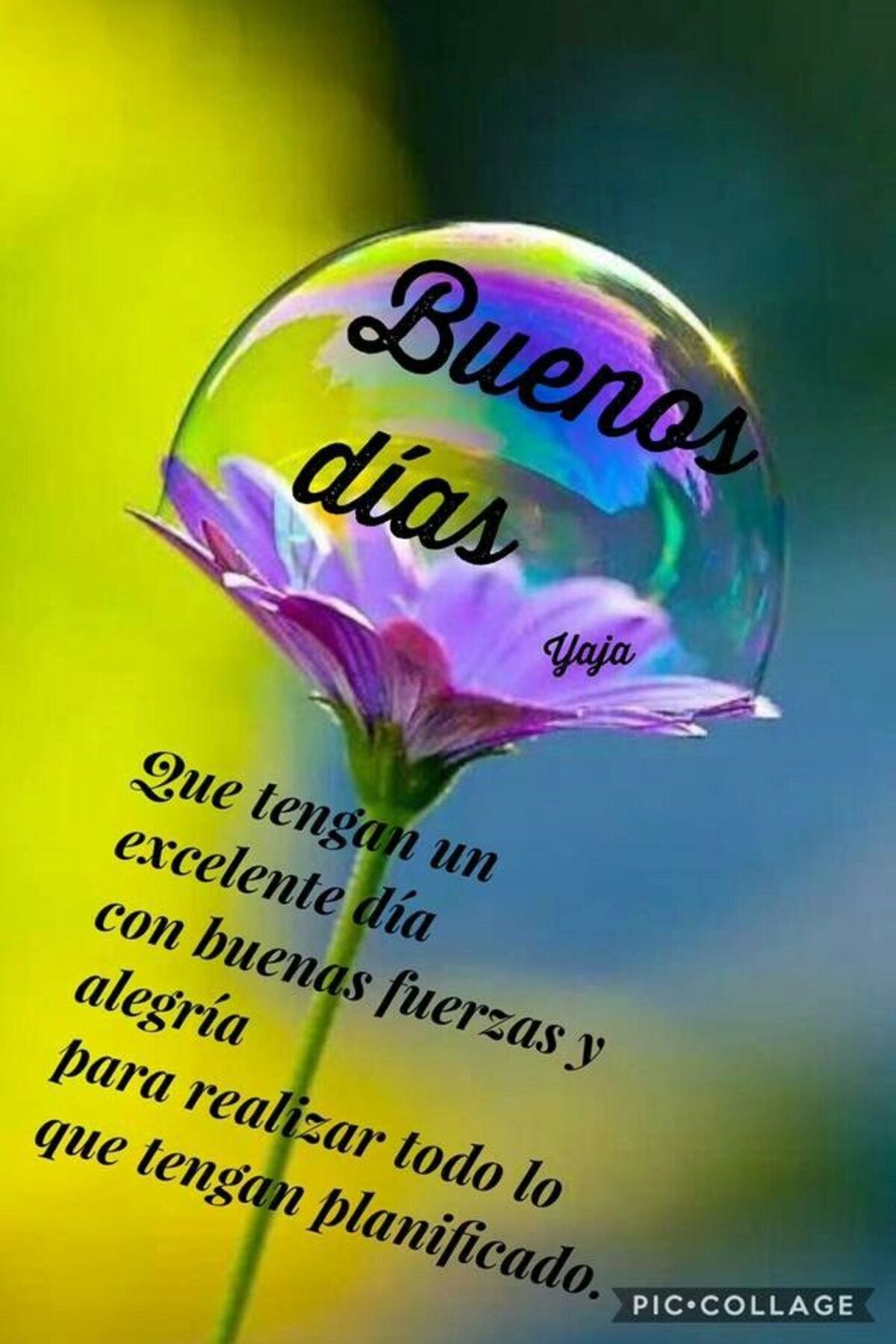 Buenos Días imágenes para WhatsApp 2