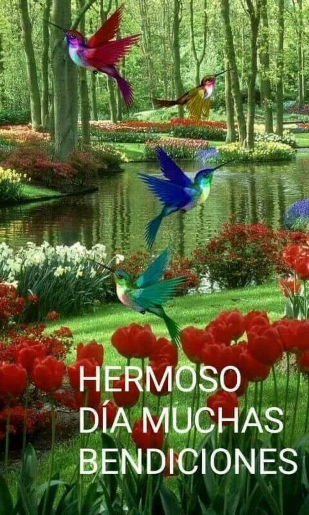 Buenos Días imágenes para WhatsApp 4
