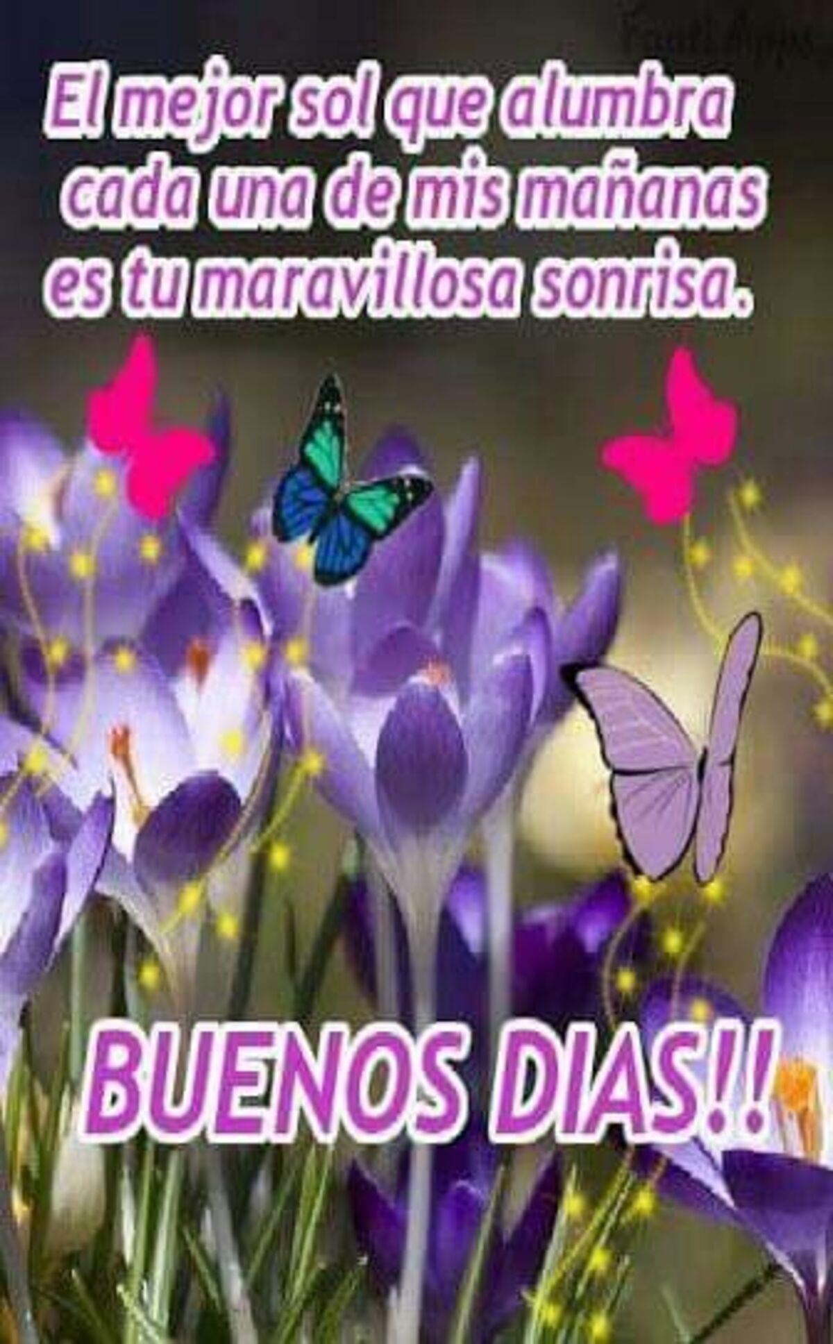 Buenos Días imágenes para enviar a tus amigos 1