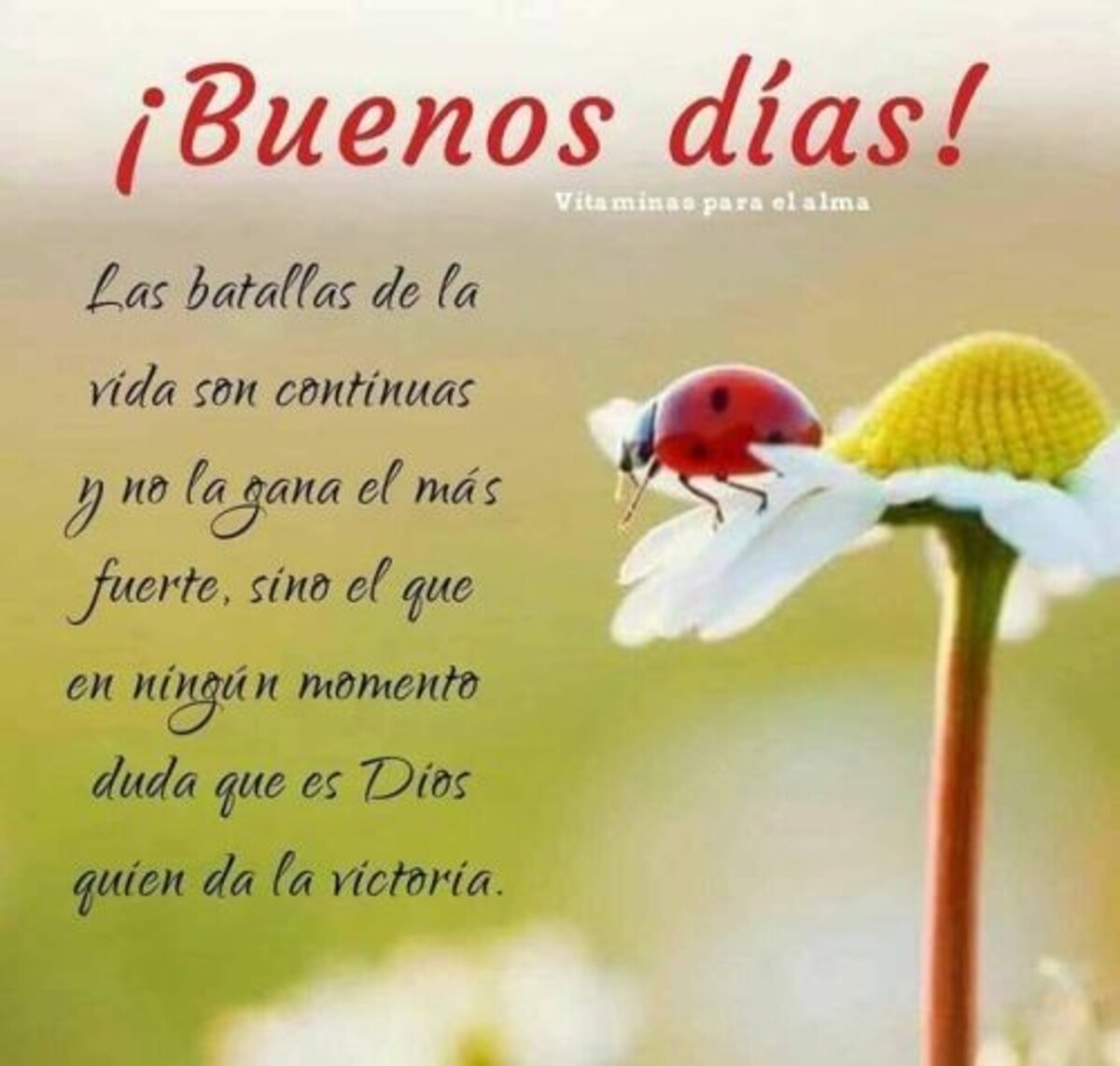 Buenos Días imágenes para enviar a tus amigos 11