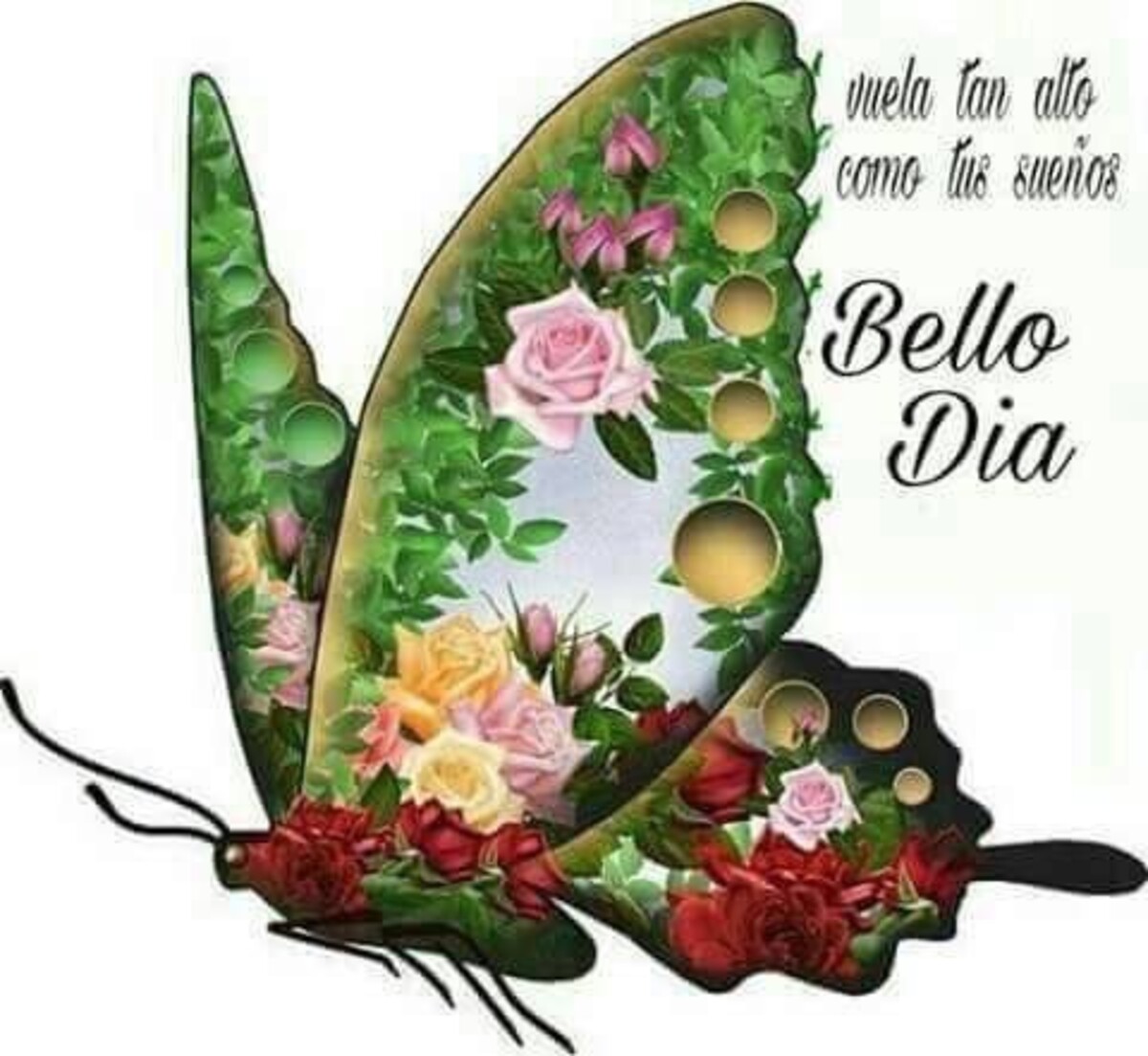 Buenos Días imágenes para enviar a tus amigos 14