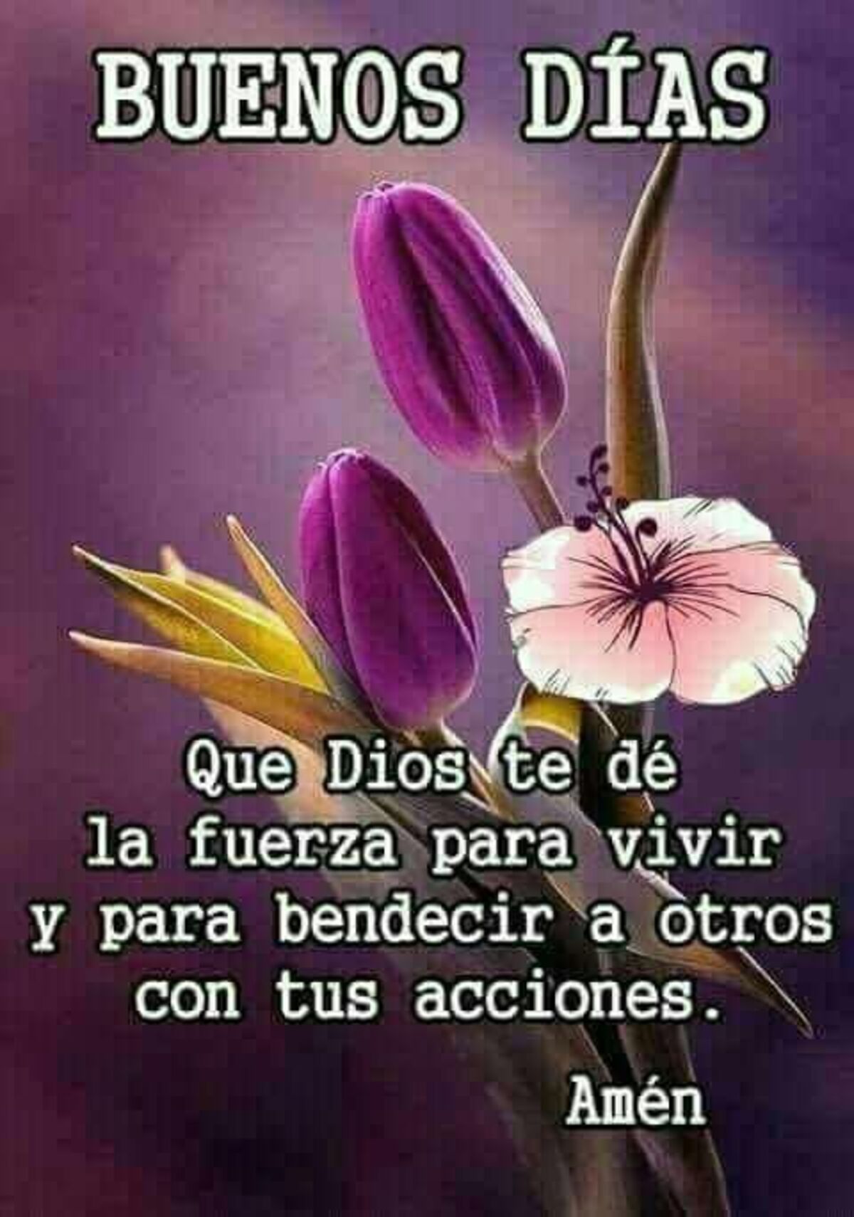 Buenos Días imágenes para enviar a tus amigos 2