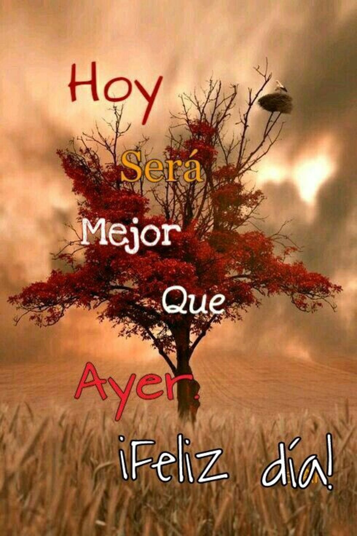 Buenos Días imágenes para enviar a tus amigos 4